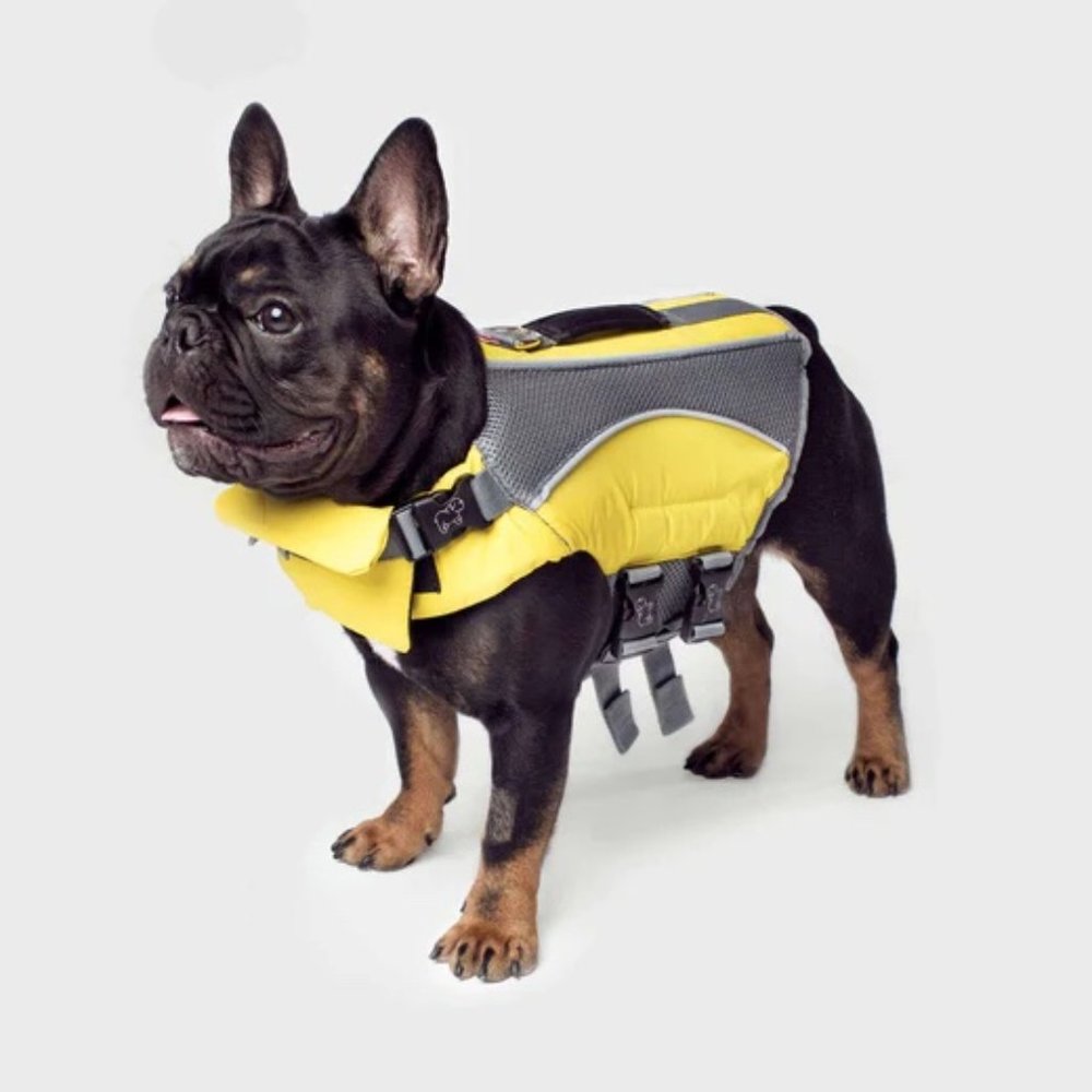 Canada Pooch Waverider